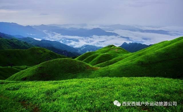 小猫钓鱼开船版最新版下载